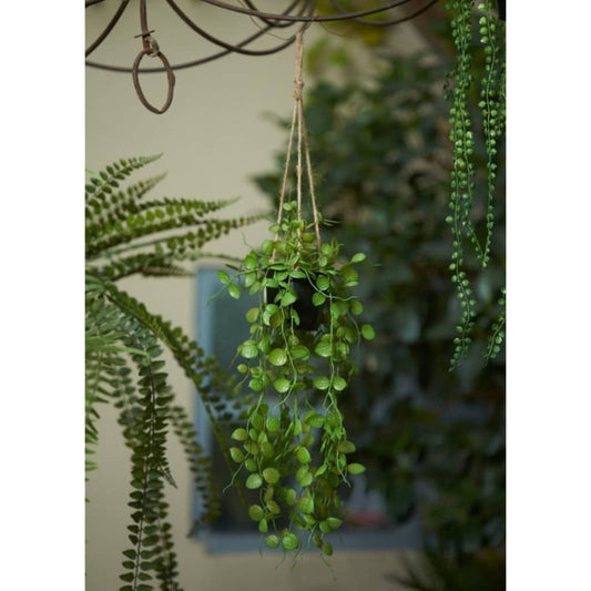 Emerald Dirbtinis pakabinamas Ceropegijos augalas vazone, 50cm
